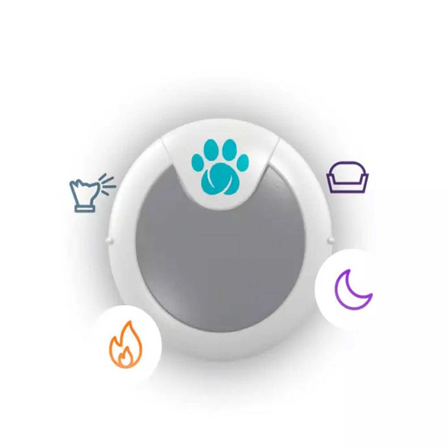 Perros Sure Petcare | Animo Monitor De Comportamiento Y Actividad