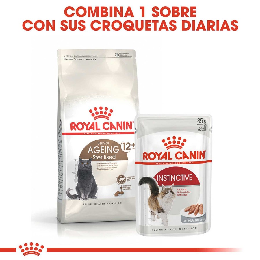 Gatos Royal Canin | Royal Canin Ageing 12+ Sterilised Pienso Para Gato De Edad Avanzada Esterilizado