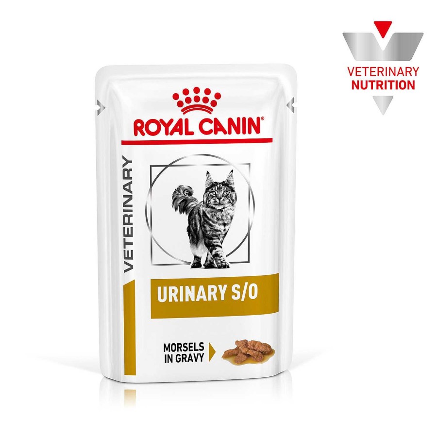 Gatos Royal Canin | Royal Canin Urinary S/O Alimento H Medo Para Gatos En Salsa