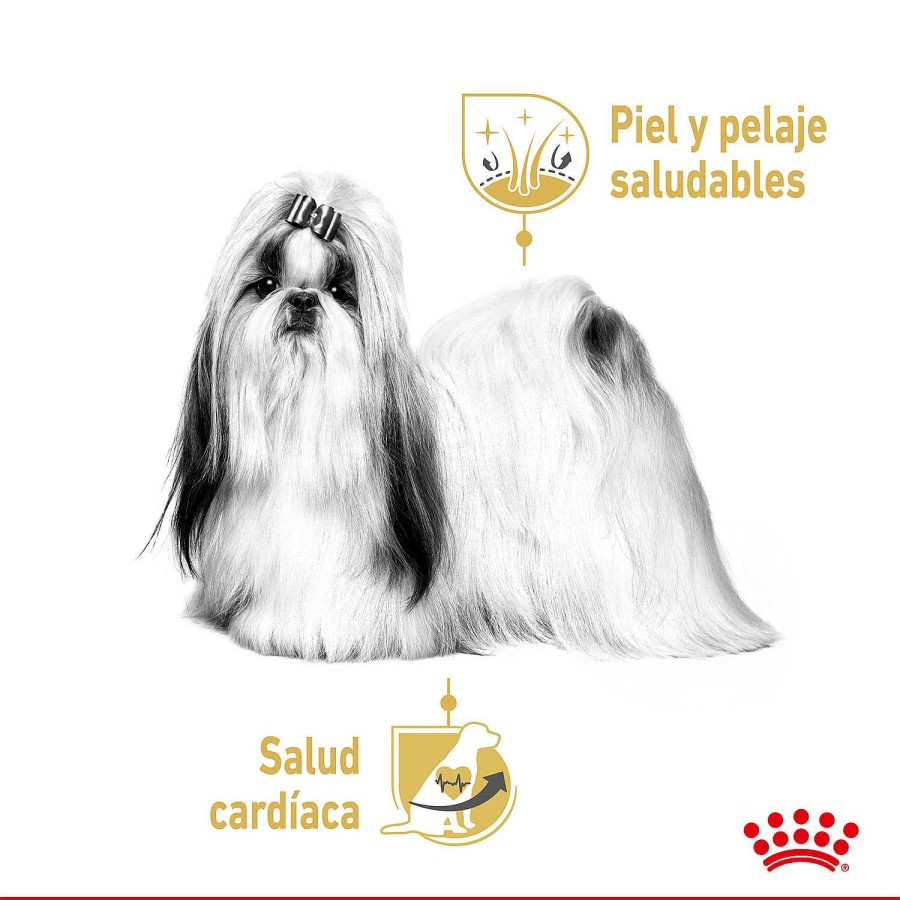 Perros Royal Canin | Royal Canin Shih Tzu Comida H Meda Para Perro Adulto De Raza