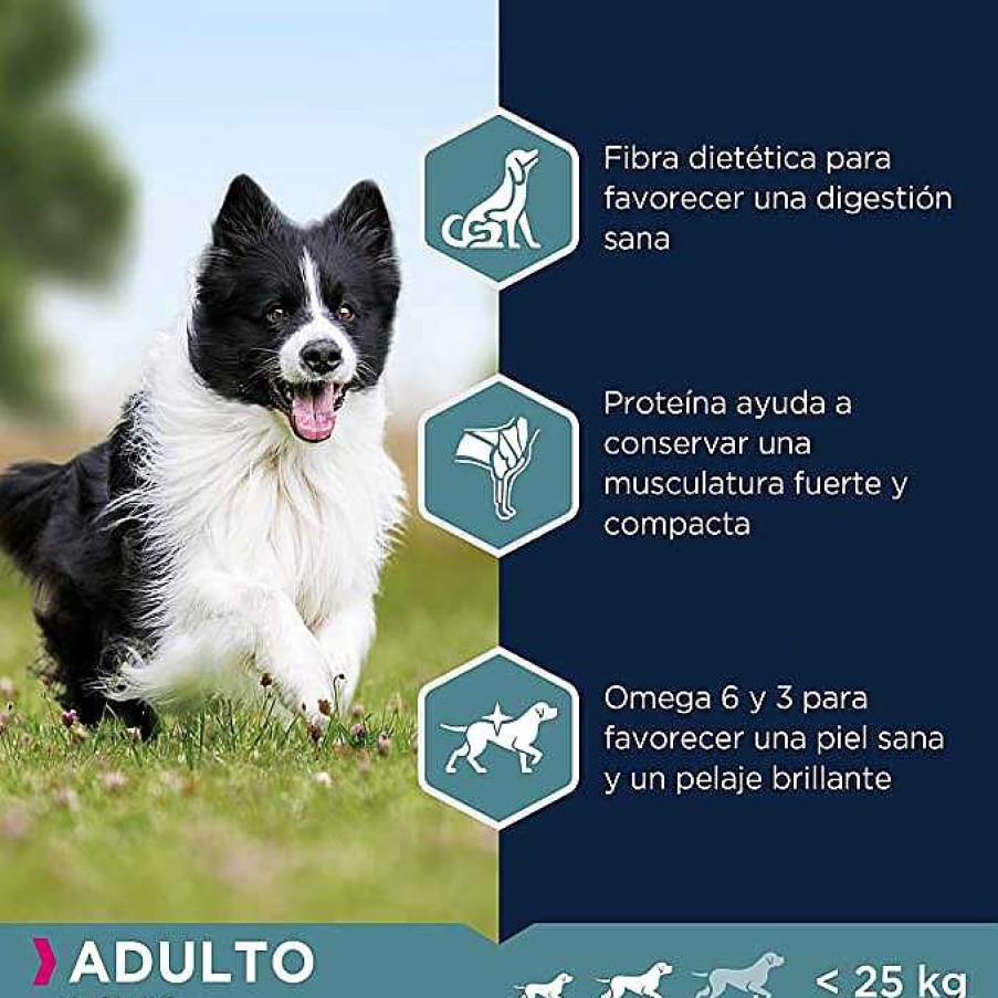 Perros Eukanuba | Eukanuba Alimento Seco Para Perros Adultos De Raza Peque A Y Mediana, Rico En Cordero Y Arroz