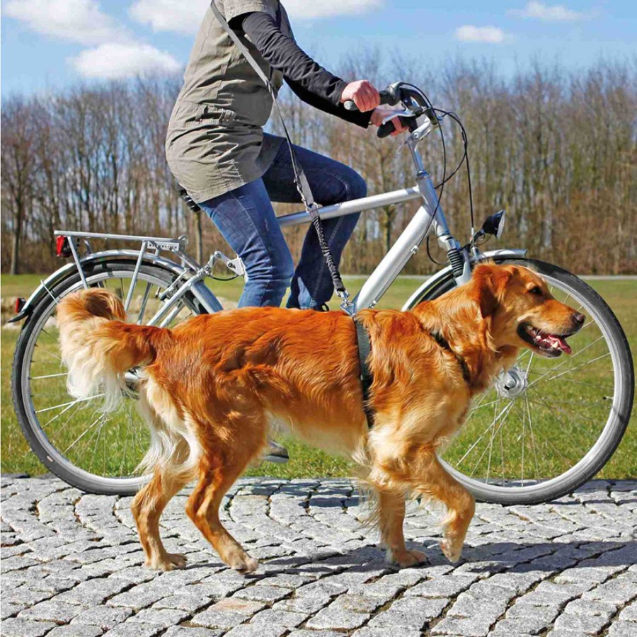 Perros Trixie | Ramal Bicicleta/Footing