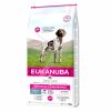 Perros Eukanuba | Eukanuba Premium Adulto Trabajo Y Resistencia