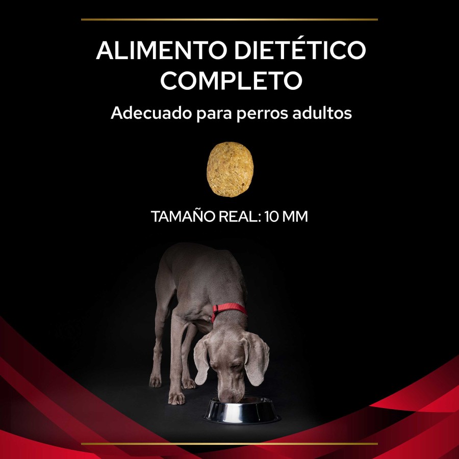 Perros Purina Veterinary | Purina Pro Plan Veterinary Diets Canine Dm Diabetes Management