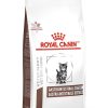 Gatos Royal Canin | Royal Canin Gastrointestinal Kitten Alimento Seco Para Gatitos