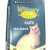 Gatos WILLOWY | Willowy Gold Cats Esterilizados