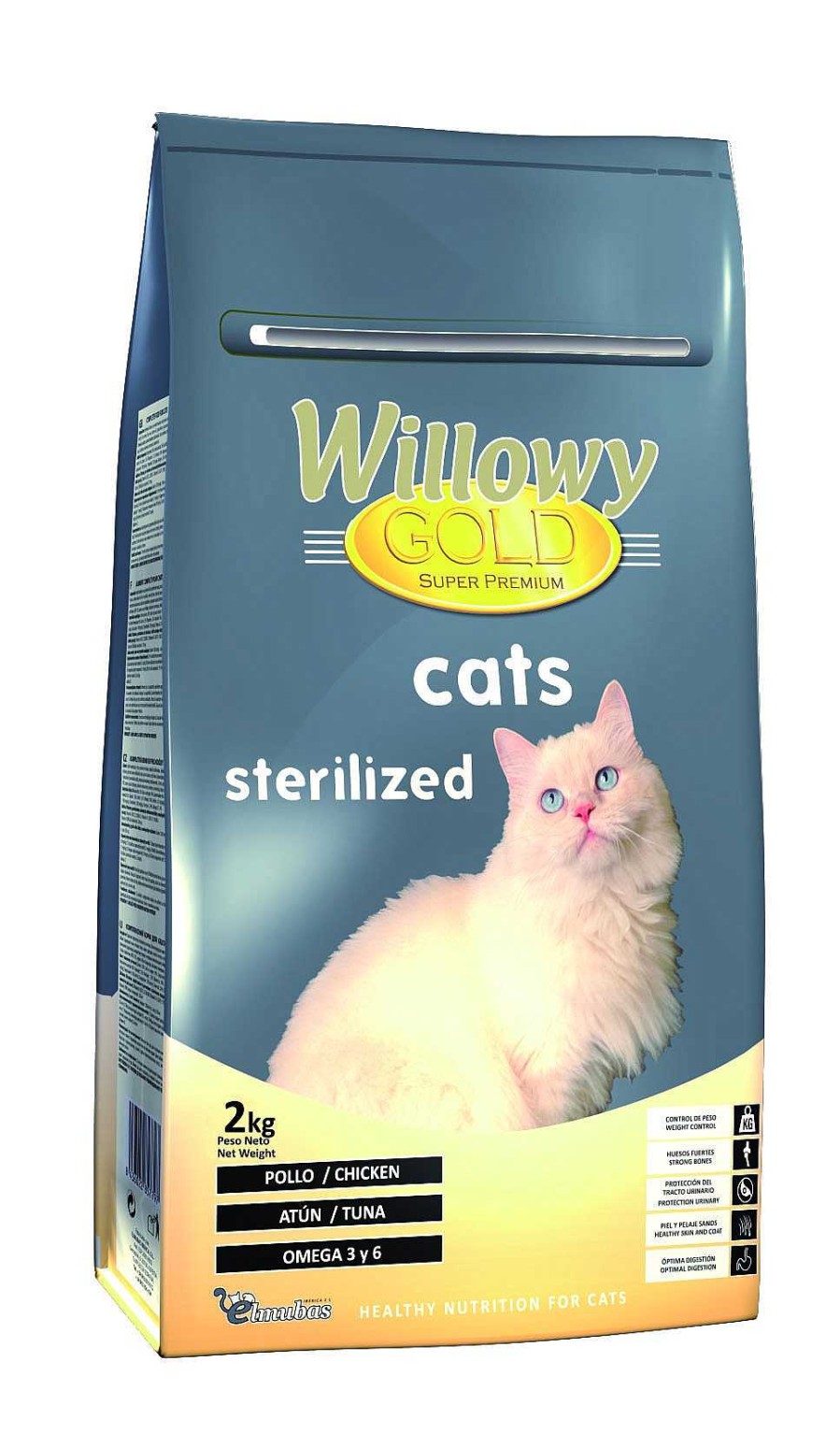 Gatos WILLOWY | Willowy Gold Cats Esterilizados