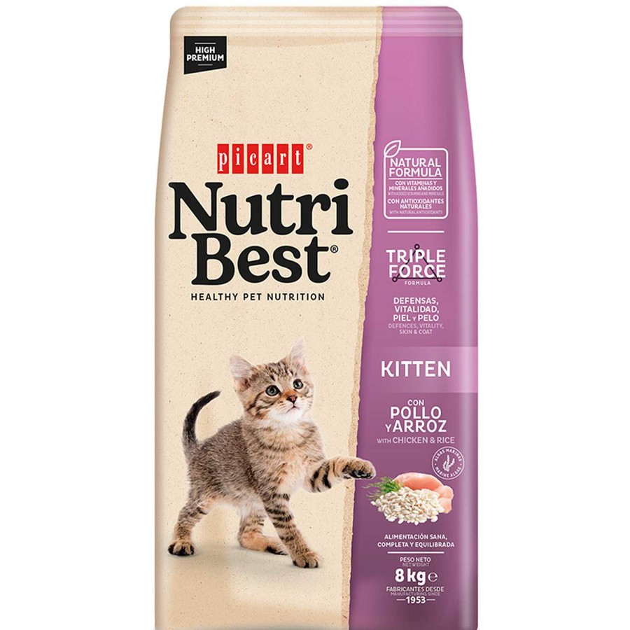 Gatos Picart Nutribest | Picart Nutribest Kitten