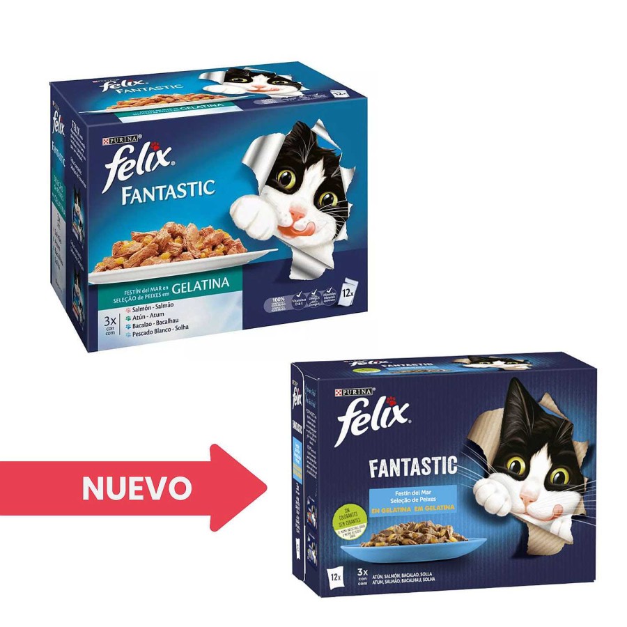 Gatos Felix | Purina Felix Fantastic Fest N Del Mar En Gelatina Pack Surtido Sobres