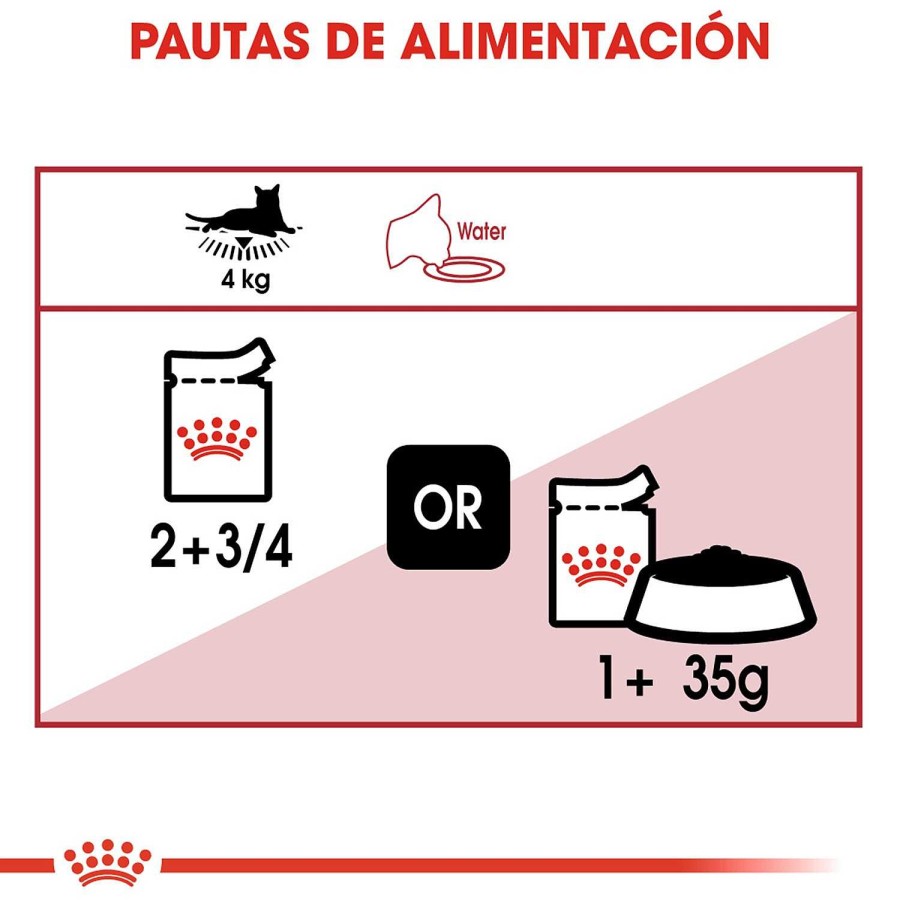 Gatos Royal Canin | Royal Canin Instinctive Comida H Meda En Pat Para Gato Adulto