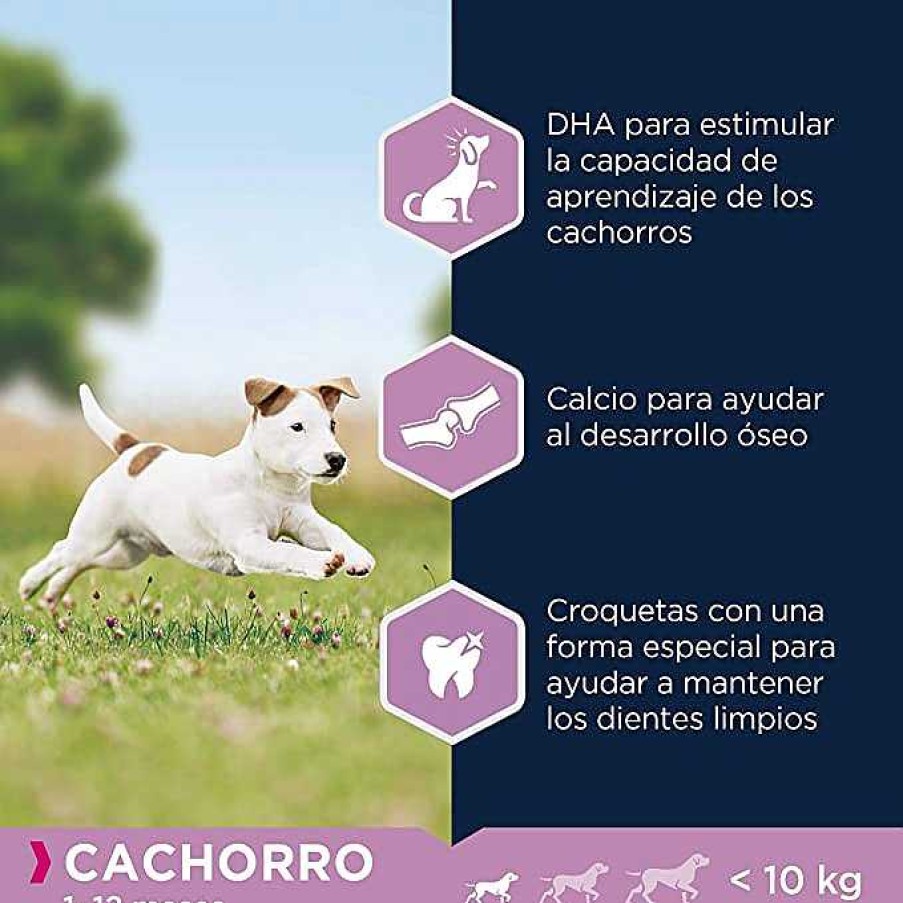 Perros Eukanuba | Eukanuba Alimento Seco Para Cachorros De Raza Peque A, Rico En Pollo Fresco