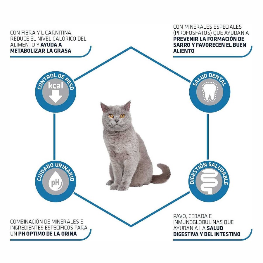 Gatos Advance | Advance Sterilized Adult Cat