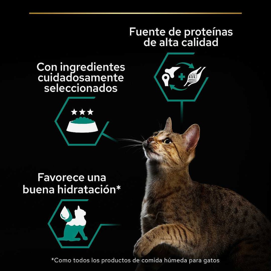 Gatos Purina Pro Plan | Purina Pro Plan Gato Lata Adulto Maintenance Terrina Rico En Pollo