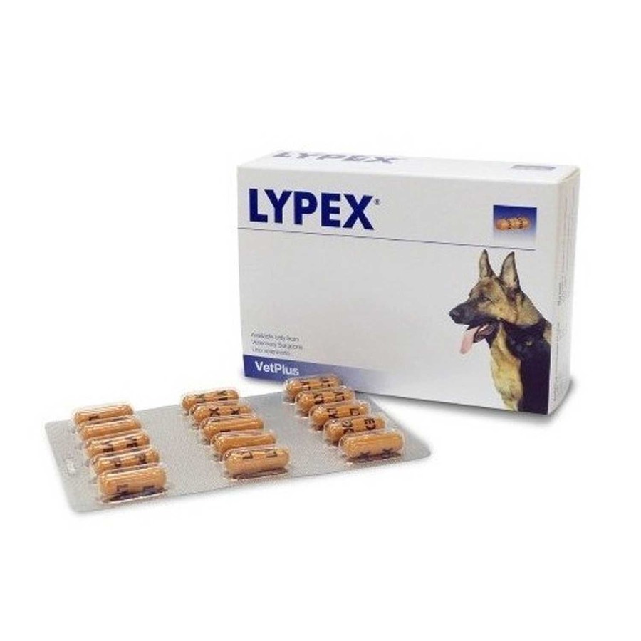 Perros VetPlus | Lypex