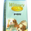 Perros WILLOWY | Willowy Gold Puppy