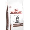 Perros Royal Canin | Royal Canin Gastro Intestinal Puppy Alimento Seco Para Cachorros