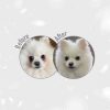 Perros Nature´s Protection | Nature'S Protection Superior Care White Dogs Lamb Adult Small And Mini