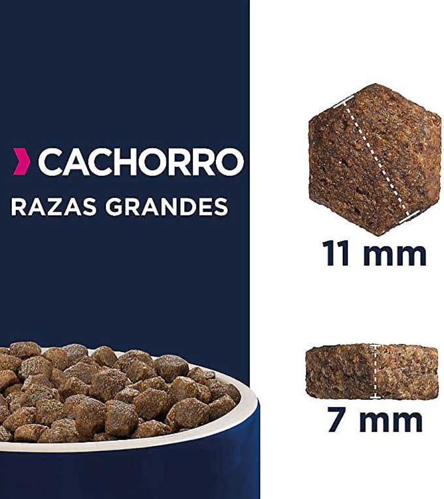 Perros Eukanuba | Eukanuba Alimento Seco Para Cachorros De Raza Grande, Rico En Pollo Fresco