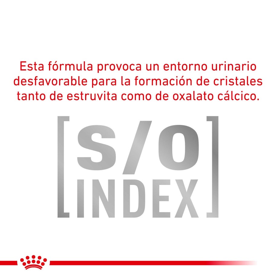 Gatos Royal Canin | Royal Canin Diabetic Alimento Seco Para Gatos