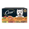 Perros Cesar | Cesar Receta De La Huerta Selecci N