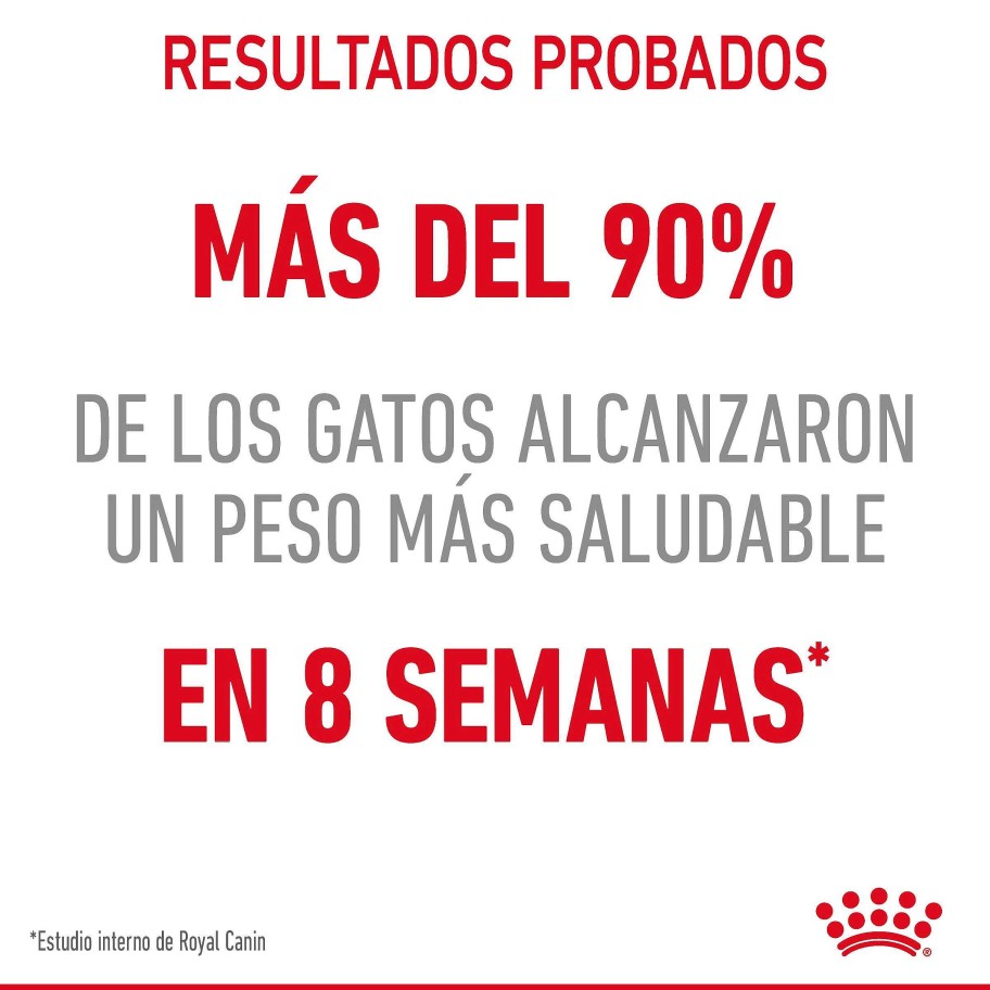 Gatos Royal Canin | Royal Canin Light Weight Care Comida H Meda En Salsa Gato Adulto Para Control De Peso