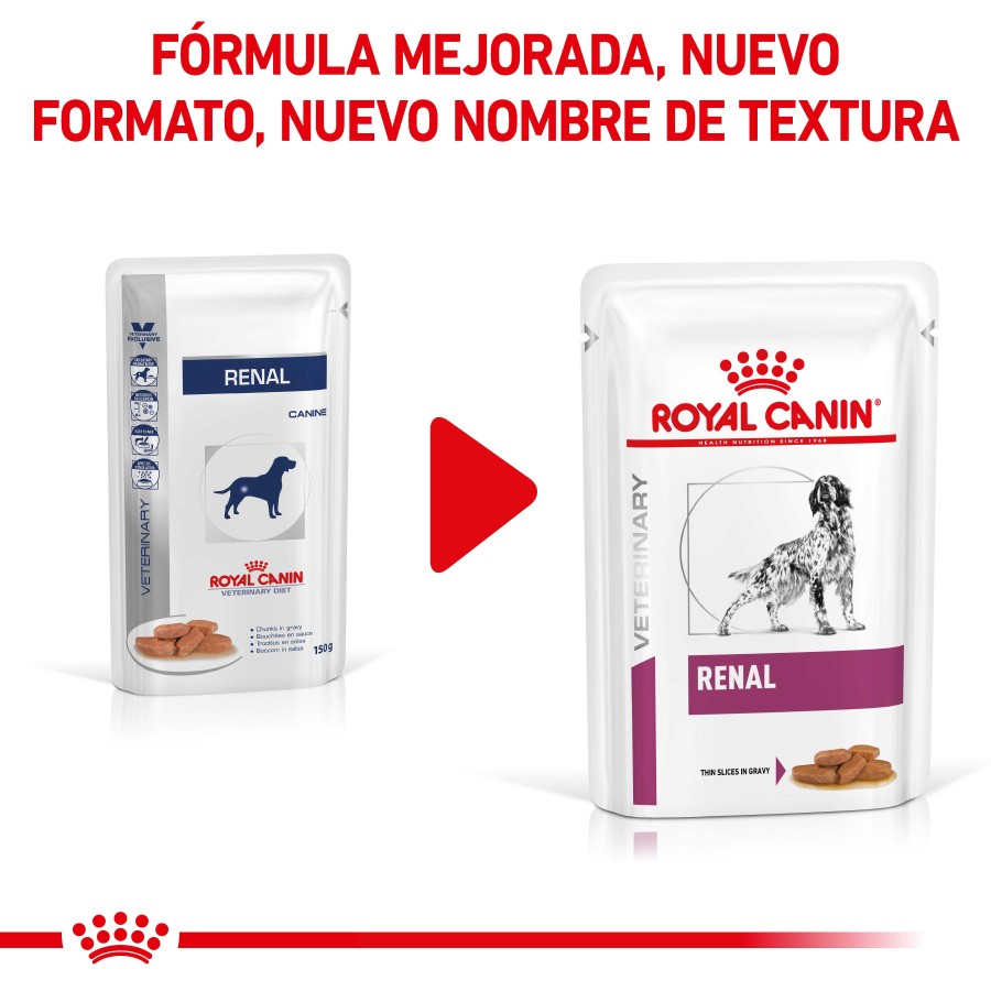 Perros Royal Canin | Royal Canin Renal Alimento H Medo Para Perros En Salsa