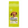 Perros Dog Chow | Dog Chow Adult Pollo