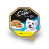 Perros Cesar | C Sar Senior