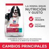 Perros Hill´s | Hill'S Science Plan Adult Medium Alimento Seco Perro Sabor At N Y Arroz