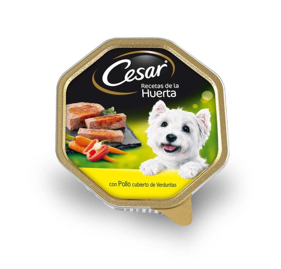 Perros Cesar | C Sar Receta De La Huerta