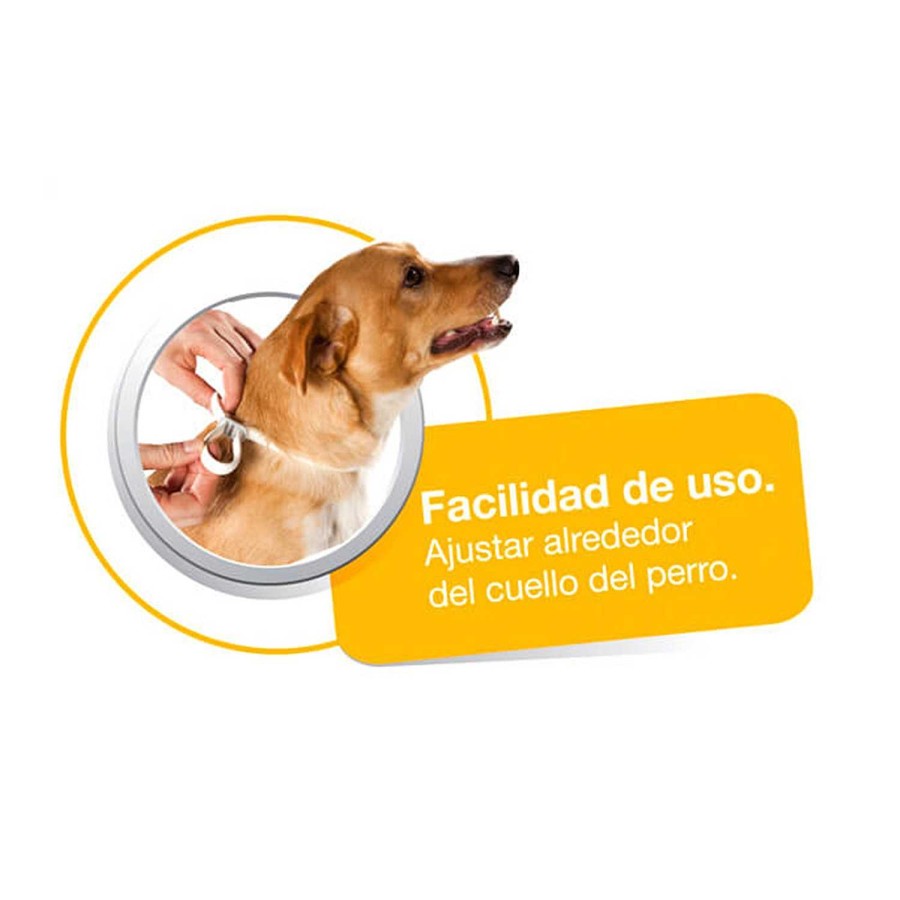 Perros Scalibor | Collar Scalibor 12 Meses