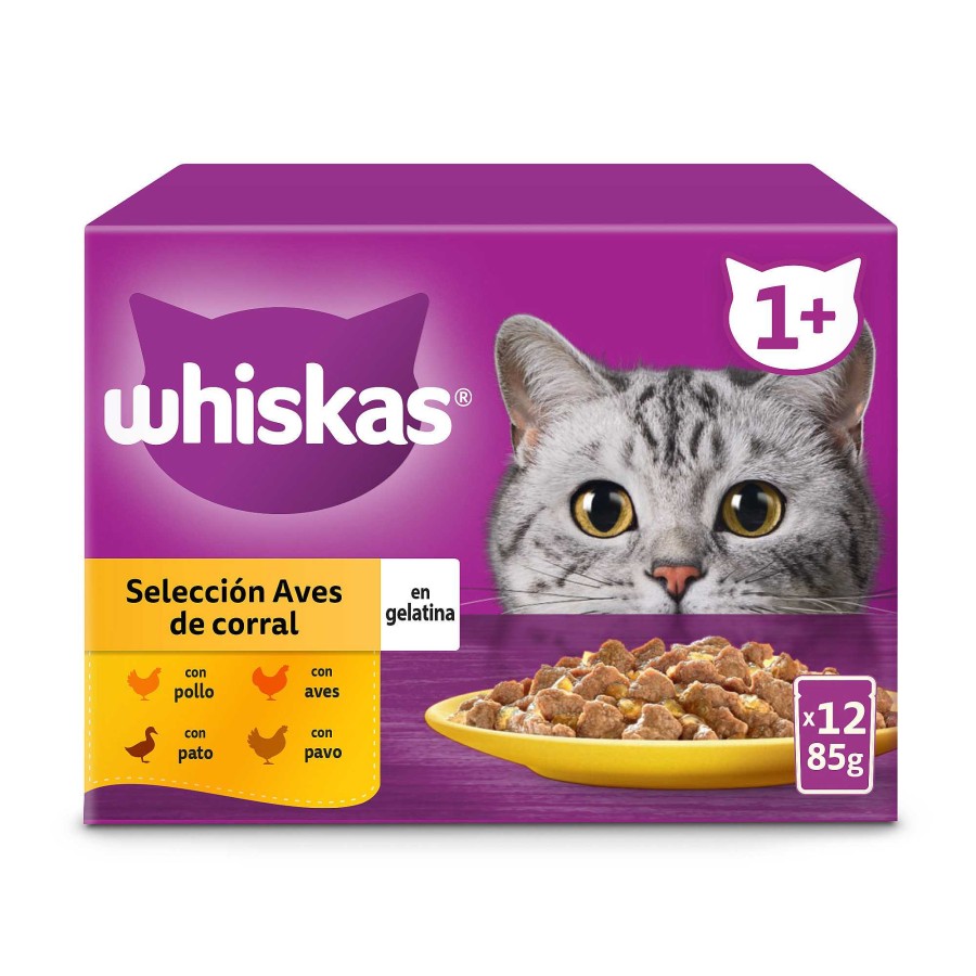 Gatos Whiskas | Whiskas Comida H Meda Para Gatos Adultos Selecci N Aves En Gelatina Multipack