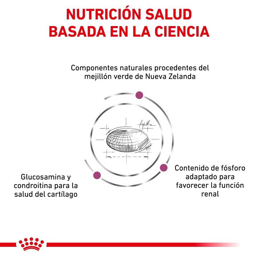 Gatos Royal Canin | Royal Canin Mobility Alimento Seco Para Gatos