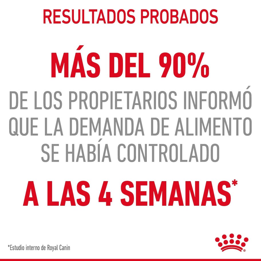 Gatos Royal Canin | Royal Canin Appetite Control Comida H Meda En Salsa Para El Control Del Apetito En Gato Adulto