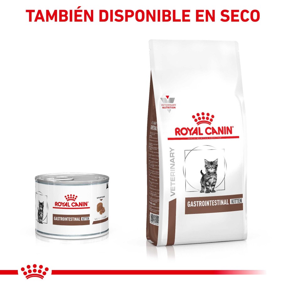 Gatos Royal Canin | Royal Canin Gastrointestinal Kitten Alimento H Medo Para Gatitos En Mousse Ultra Suave - Lata