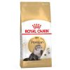 Gatos Royal Canin | Royal Canin Persian Pienso Para Gato Adulto Persa