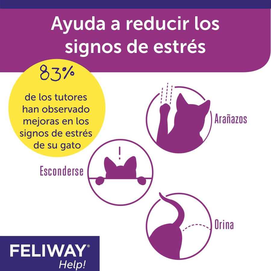 Gatos Ceva | Feliway Help! - Ayuda A Tu Gato Frente A Situaciones De Estr S Ocasional