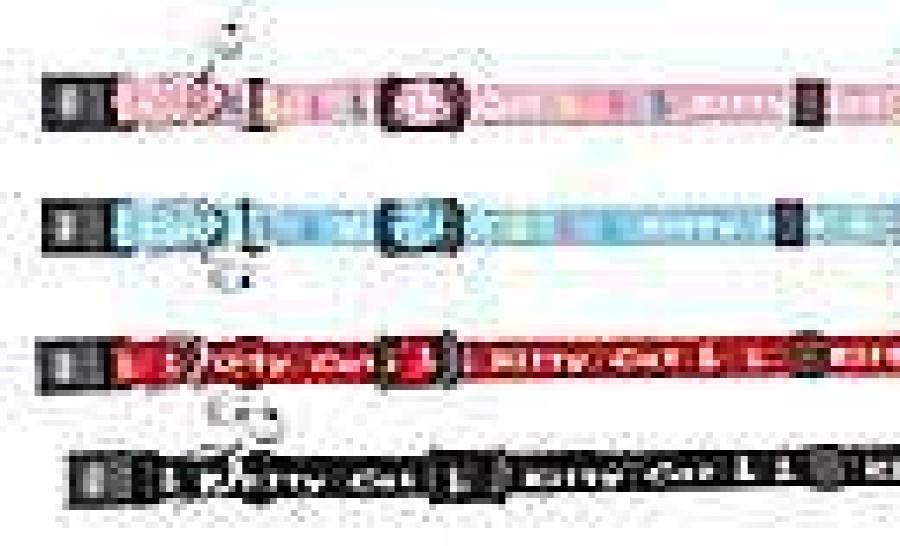 Gatos Trixie | Kitten Collar, Nylon