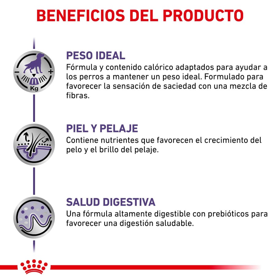 Perros Royal Canin | Royal Canin Neutered Adult Medium Dogs Alimento Seco Para Perros Esterilizados De Razas Medianas