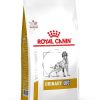 Perros Royal Canin | Royal Canin Urinary U/C Alimento Seco Para Perros