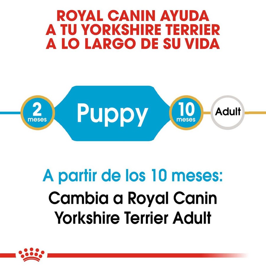 Perros Royal Canin | Royal Canin Yorkshire Terrier Puppy Pienso Para Cachorro De Raza