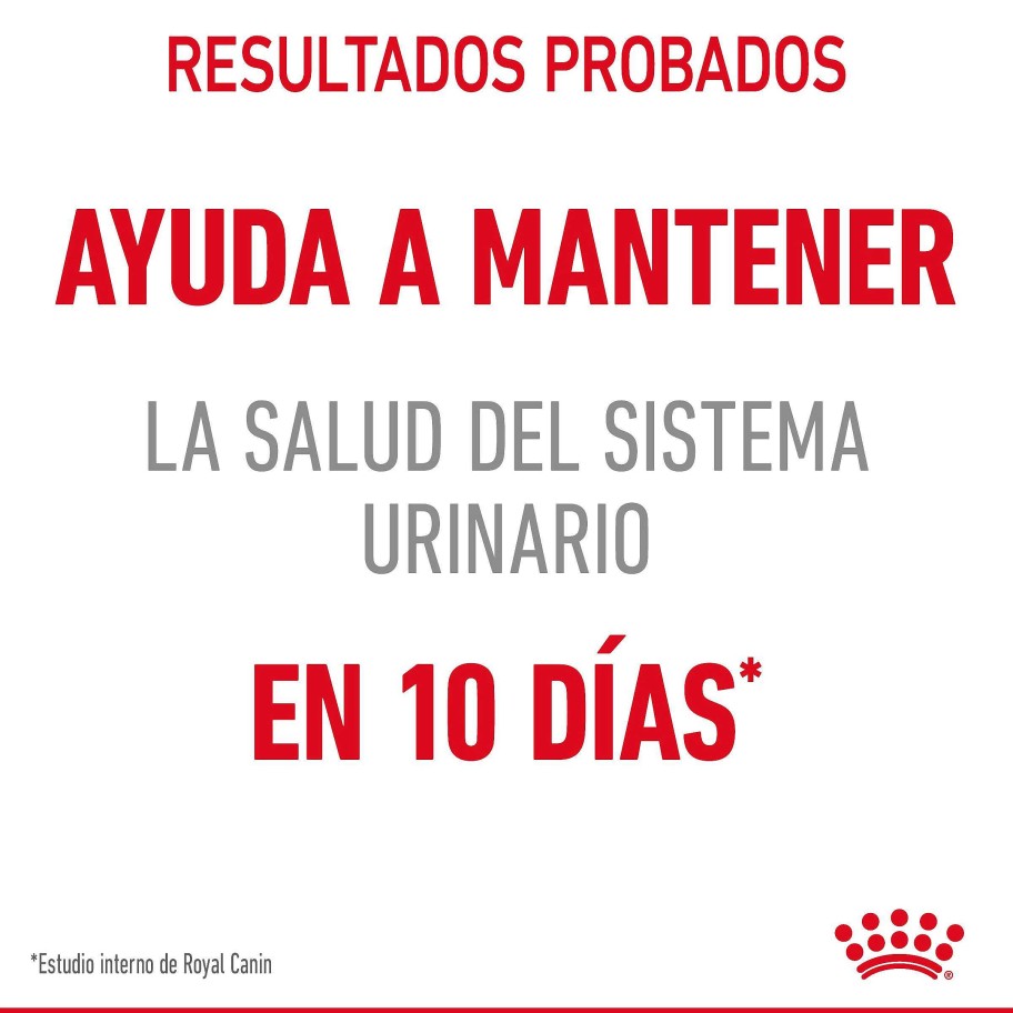 Gatos Royal Canin | Royal Canin Urinary Care Comida H Meda En Salsa Para El Cuidado Urinario En Gato Adulto