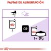 Gatos Royal Canin | Royal Canin Sterilised Comida H Meda En Salsa Para Gato Adulto Esterilizado