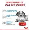 Perros Royal Canin | Royal Canin Medium Puppy Comida H Meda Para Cachorro De Razas Tama O Mediano