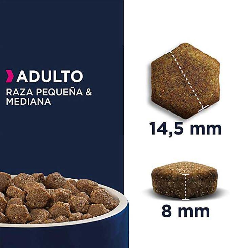 Perros Eukanuba | Eukanuba Alimento Seco Para Perros Adultos De Raza Peque A Y Mediana, Rico En Cordero Y Arroz