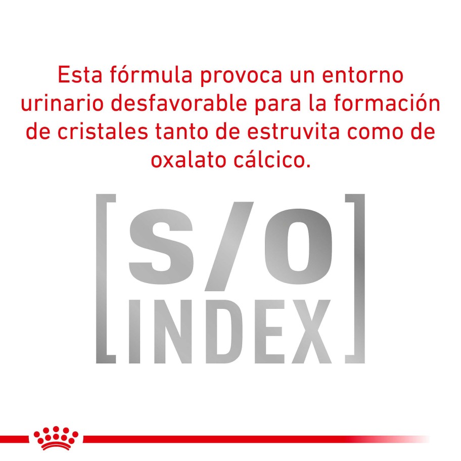 Perros Royal Canin | Royal Canin Skin Care Small Dog Alimento Seco Para Perros Adultos De Razas Peque As