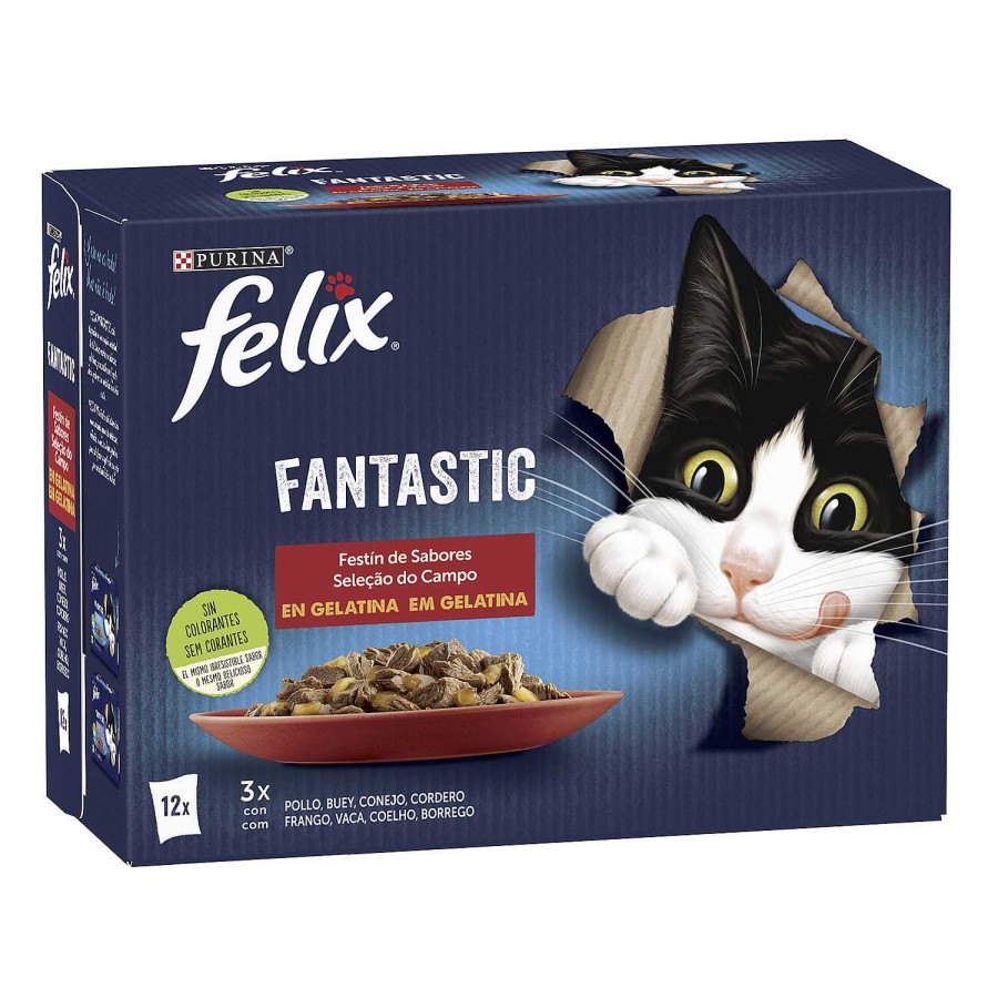 Gatos Felix | Purina Felix Fantastic Fest N De Sabores En Gelatina