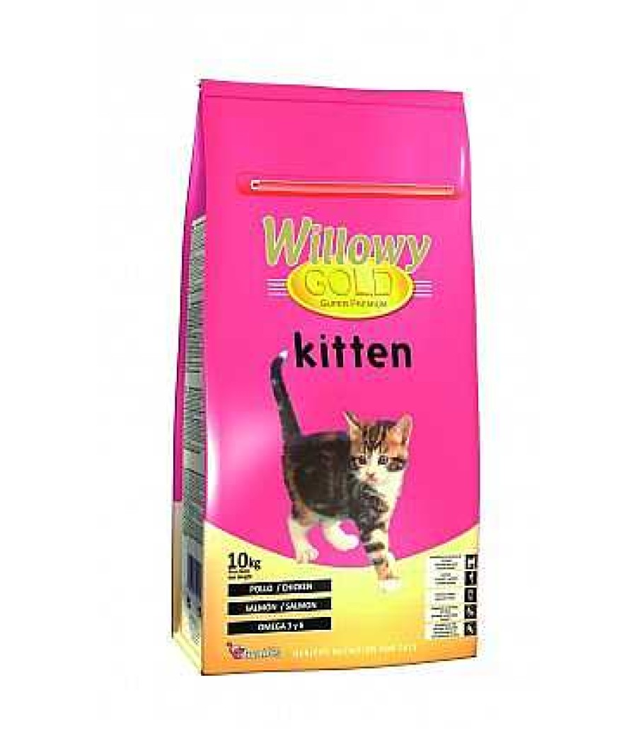 Gatos WILLOWY | Willowy Gold Kitten