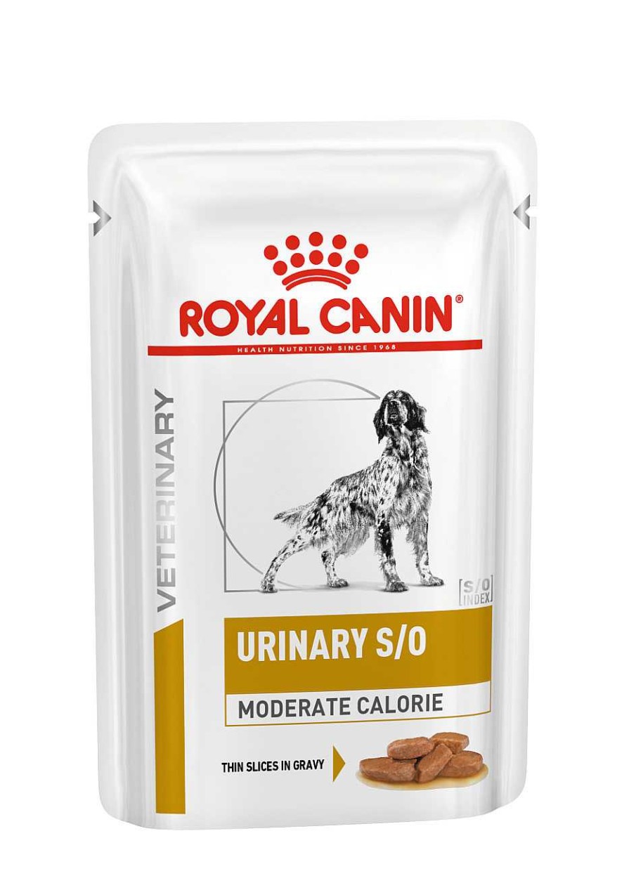 Perros Royal Canin | Royal Canin Urinary S/O Moderate Calorie Alimento H Medo Para Perros En Salsa