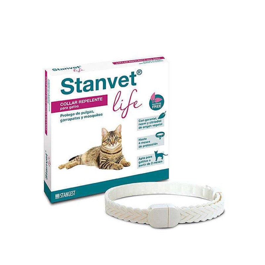 Gatos Stangest | Collar Stanvet Life Gato